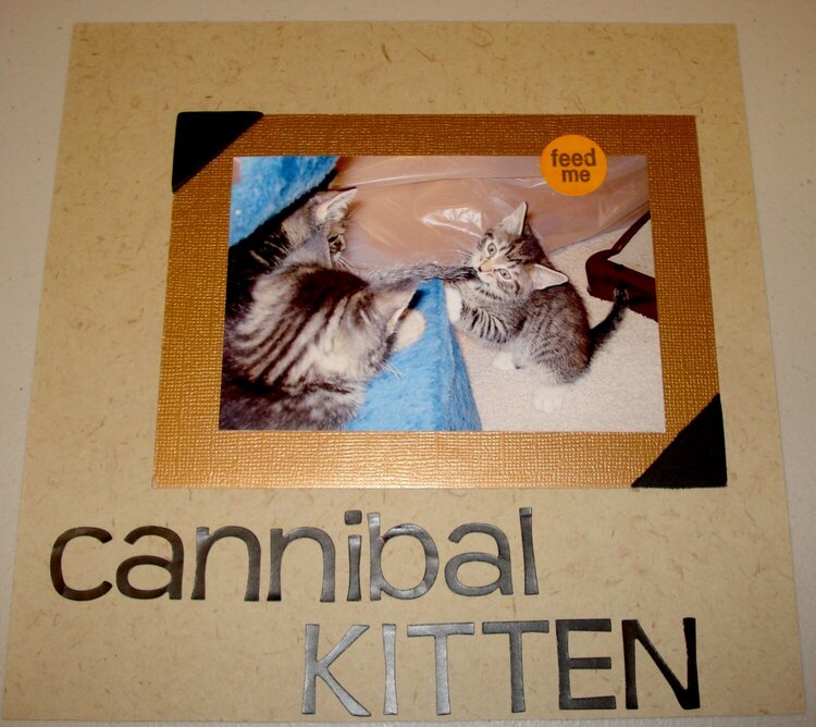 Cannibal Kitten