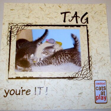 Tag, you&#039;re it!