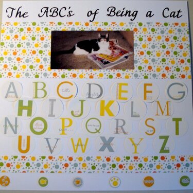 The ABC&#039;s of Being A Cat