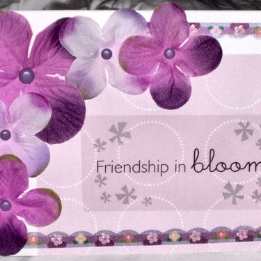 Friendship In Bloom