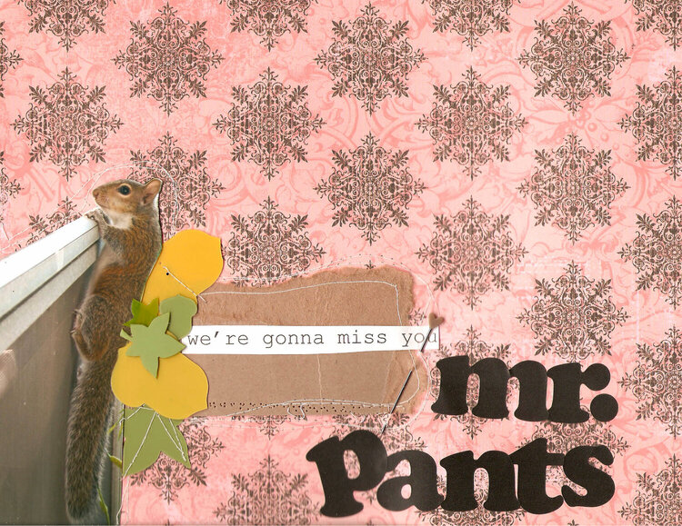 mr.pants