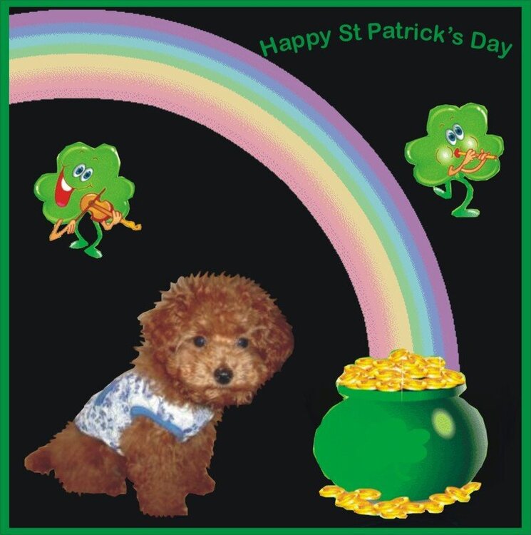 Happy St.Patrick&#039;s Day from Lucky !!!