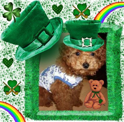 Happy St.Patricks Day from Lucky !