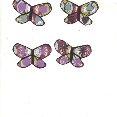 butterflies to work with