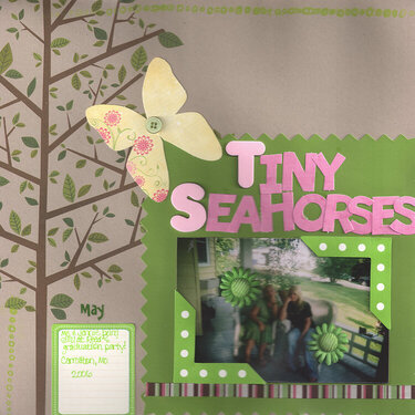 Tiny Seahorses *2/17/08*