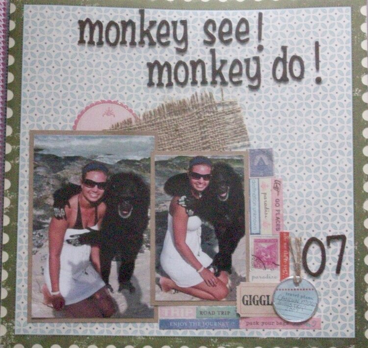 monkey see monkey do
