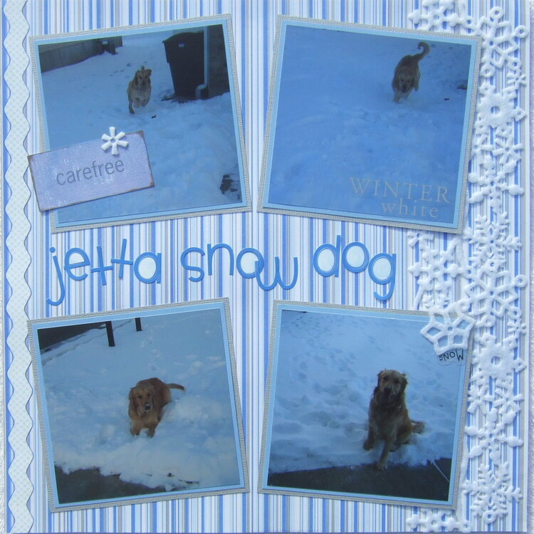 Jetta Snow Dog