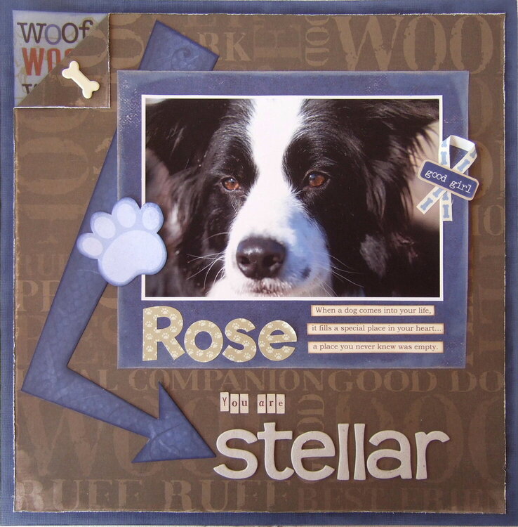 Rose, You are Stellar - No. 1 in The Bedlam Farm series)