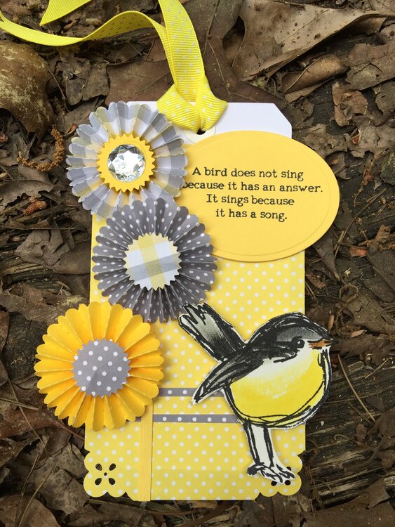 Bird Tag