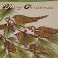 3 Birds in a Tree Christmas Card