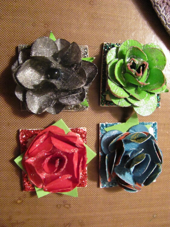 Miniture Roses inchies