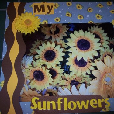 my sunflowers
