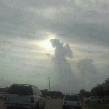an angel cloud captured by my friend.