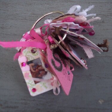 Baby Tags key chain