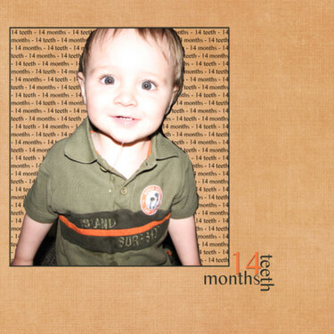 14 months 14 teeth