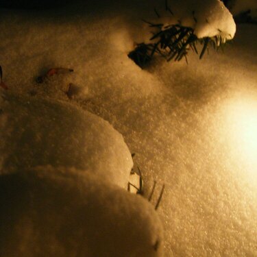 Snow at Night March 7