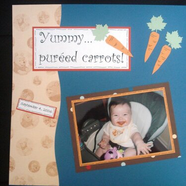 Pureed Carrots (page 1)