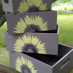 Sunflower Boxes