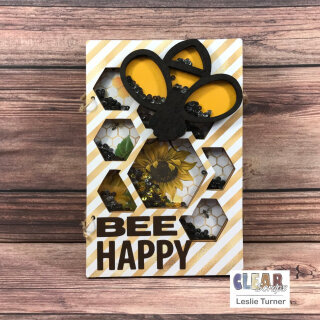 Bee Happy Accordion Shaker Album