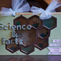 Autism Science & Facts Wood Album