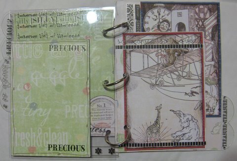 Baby Photos Acrylic Album by Clear Scraps DT Cathy S.
