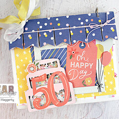 Birthday Cake Mini Shaker Album