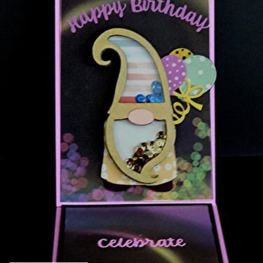 Birthday Gnome Shaker Card