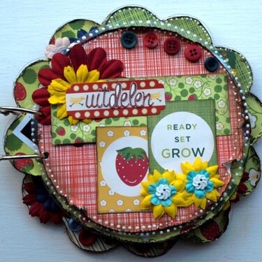 Clear Scraps Mini Album