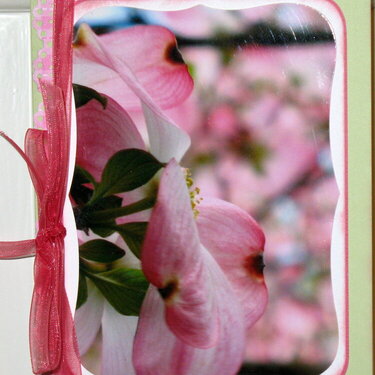Easter card with pink dogwood