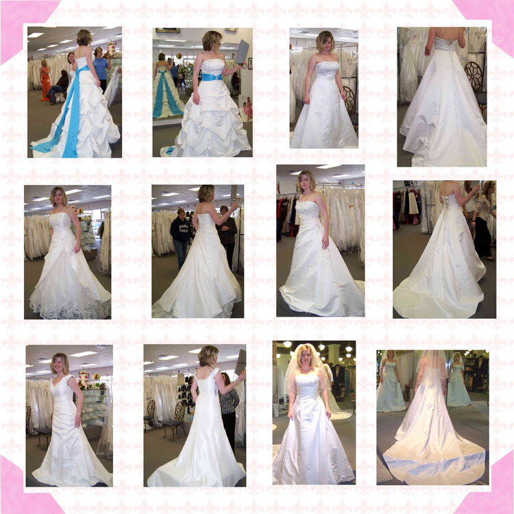 Gown Shopping Page 1