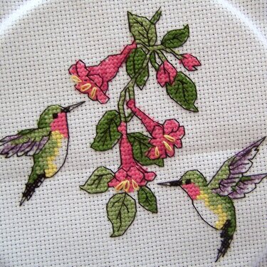 Hummingbird Cross Stitch