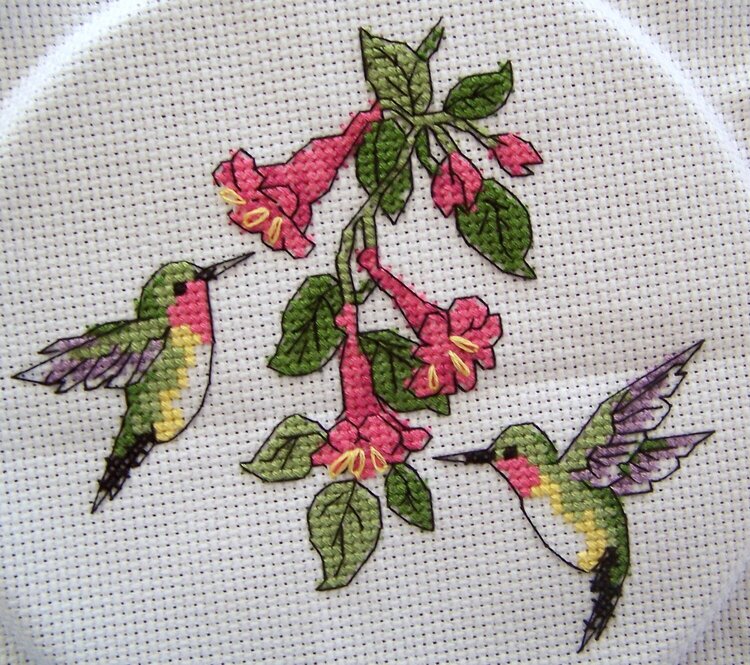 Hummingbird Cross Stitch