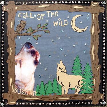 CALL OF THE WILD {BUSTER}