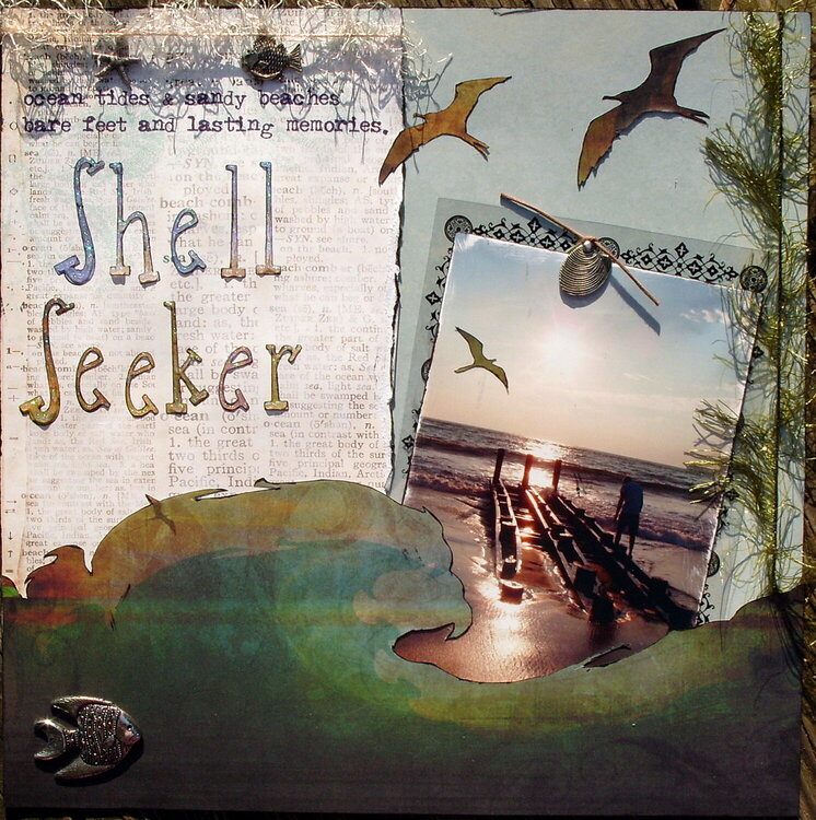 Shell Seeker