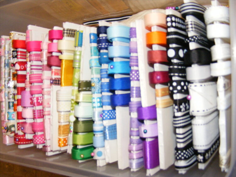 Ribbon Storage New