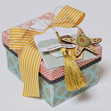NEW Nantucket Altered Gift Box **Pink Paislee**