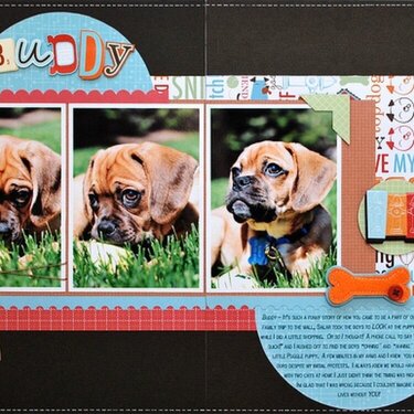 Buddy **SCT Spring 2011 Issue**