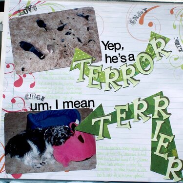Yep, he&#039;s a Terror, um, I mean Terrier
