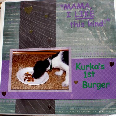 Kurka&#039;s 1st Burger