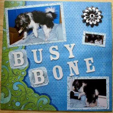 Busy Bone