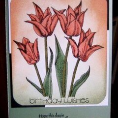 Tulip birthday card