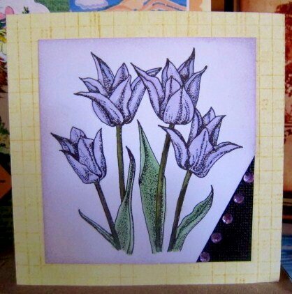 Tulip card