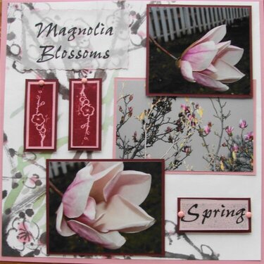 Magnolias