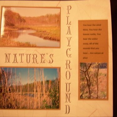 Nature&#039;s Playground