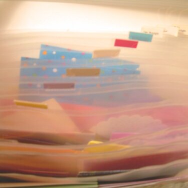 paper scraps organization