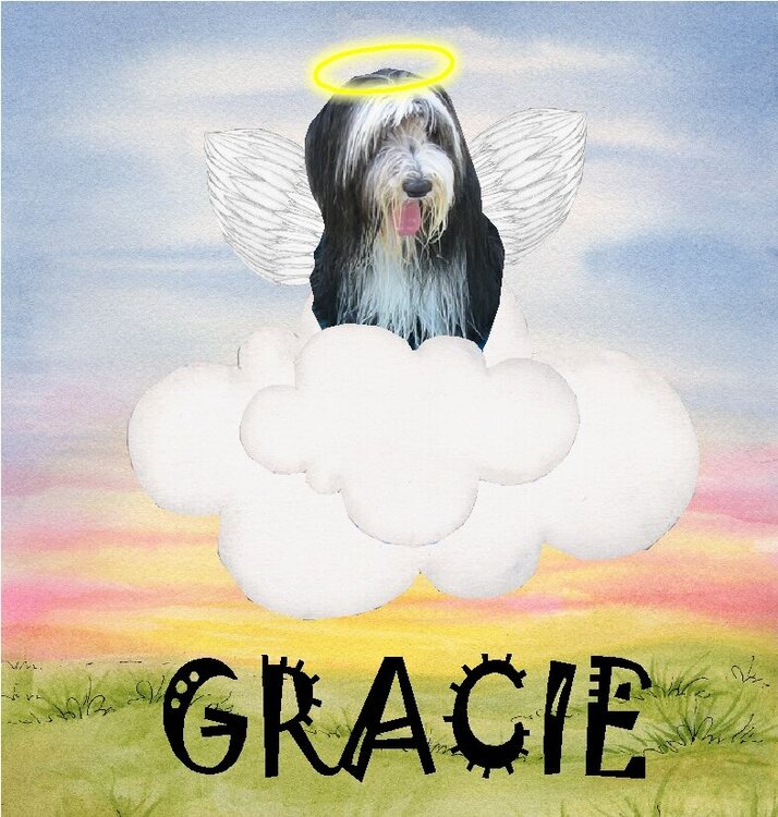 Yes, Gracie is more like an angel