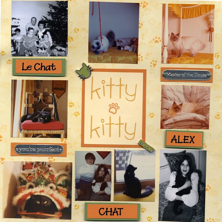 Kitty Kitty