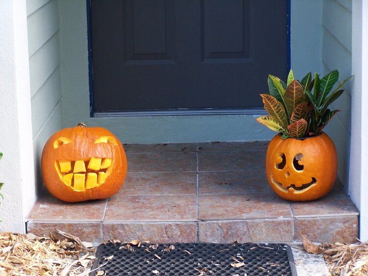 Halloween 2010 jack-o-lanterns