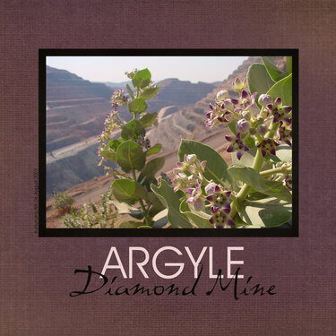 Argyle Diamond Mine