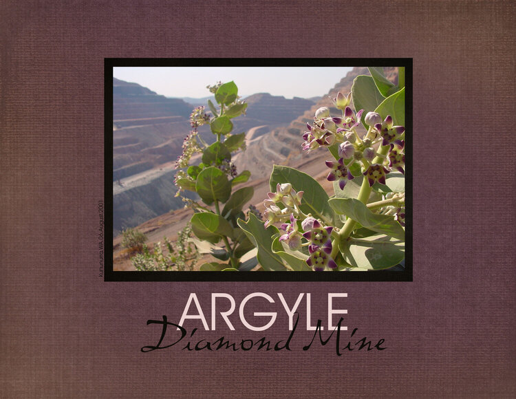 Argyle Diamond Mine